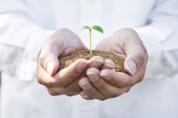 人間の身体は細胞で作られています