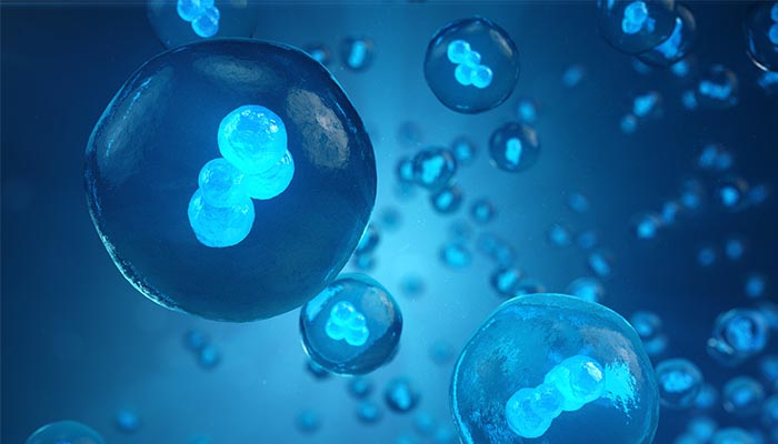 自家がんワクチン療法