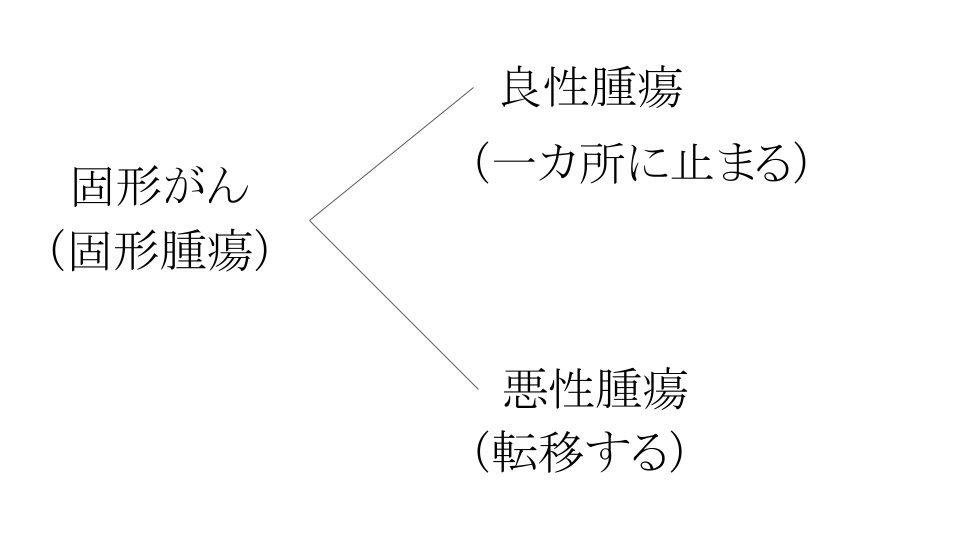 固形がん（固形腫瘍）の分類