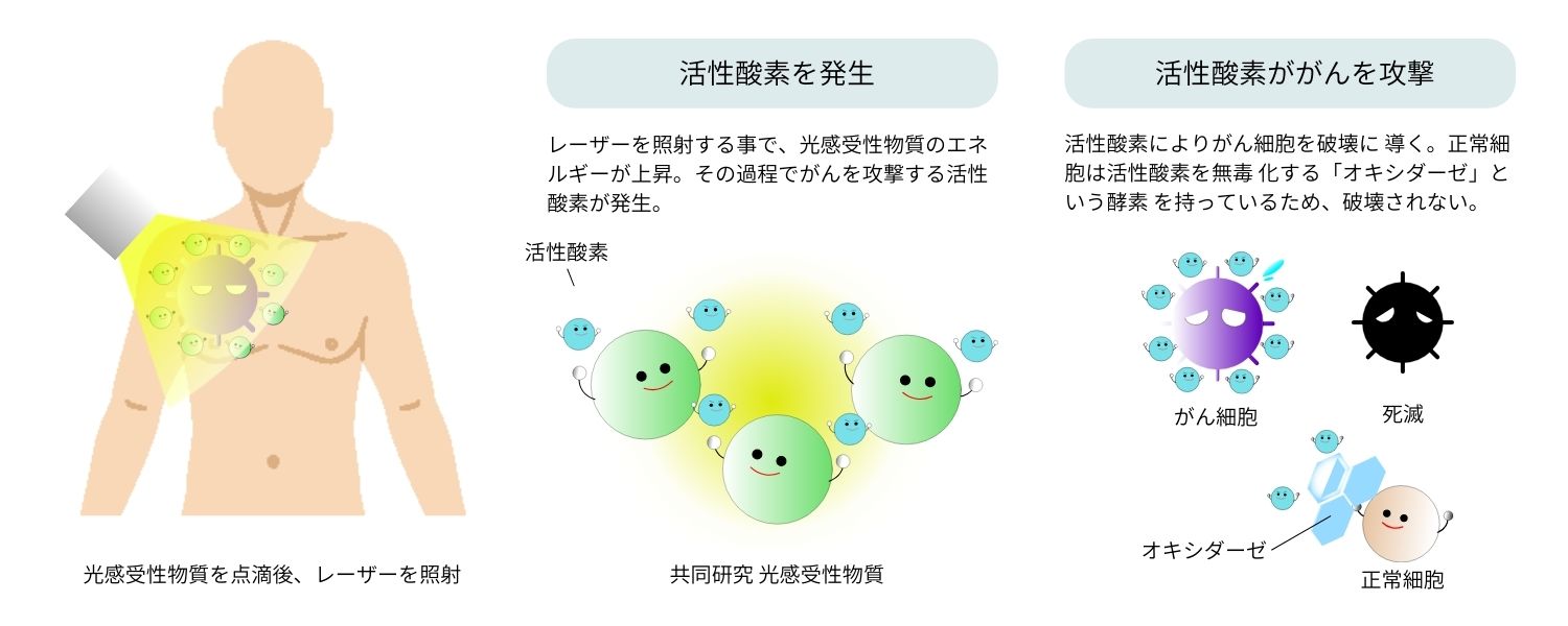 より詳しく光免疫療法の解説