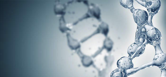 がんの再発・転移防止にも対応