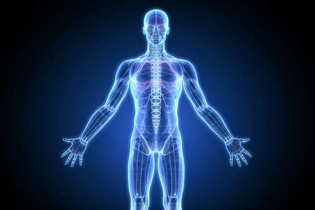 ほぼ全身のがん種に対応